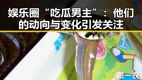 娱乐圈“吃瓜男主”：他们的动向与变化引发关注