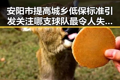 安阳市提高城乡低保标准引发关注 哪支球队最令人失望成为焦点